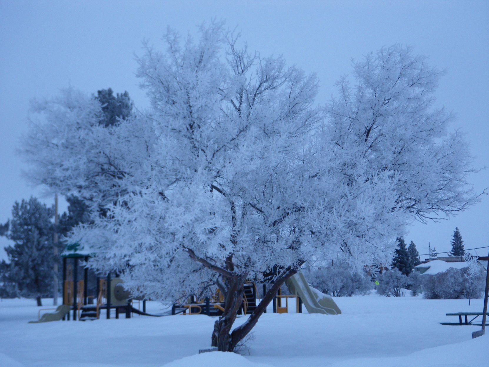 Playground Frost